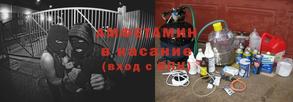 прущие грибы Аркадак