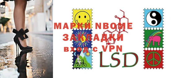прущие грибы Аркадак