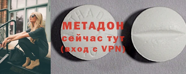 прущие грибы Аркадак