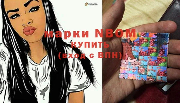 стаф Алзамай