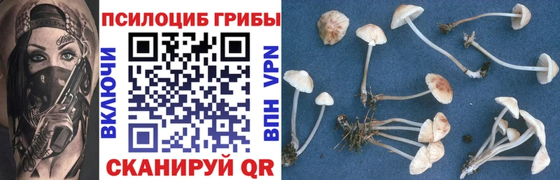 Псилоцибиновые грибы Magic Shrooms  как найти закладки  Пугачёв 